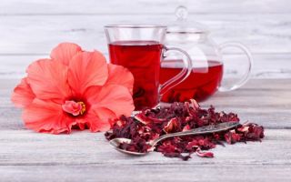 Hibiscus tea: kapaki-pakinabang na mga pag-aari at contraindications, kung paano gumawa ng serbesa, mga pagsusuri