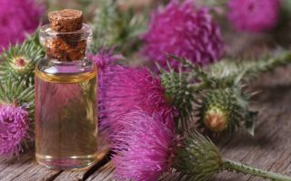 Burdock oil: properties, how to use, before and after photos, reviews