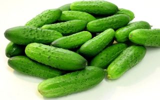 How are cucumbers useful?