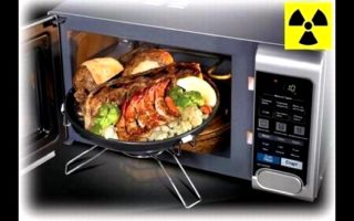 The benefits and harms of a microwave oven for health, how it works