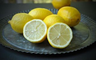 Why lemon is useful, composition, properties and contraindications