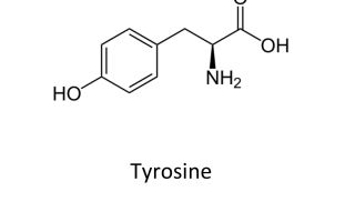 Tyrosine content in food: table