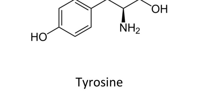 Tyrosine content in food: table