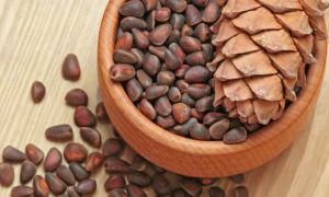 Pine nuts: useful properties and contraindications, calorie content, composition