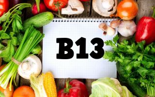 Vitamin B13: what does the body need for, what foods contain