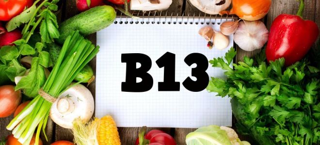 Vitamina B13: de ce are nevoie organismul, de care alimente conțin