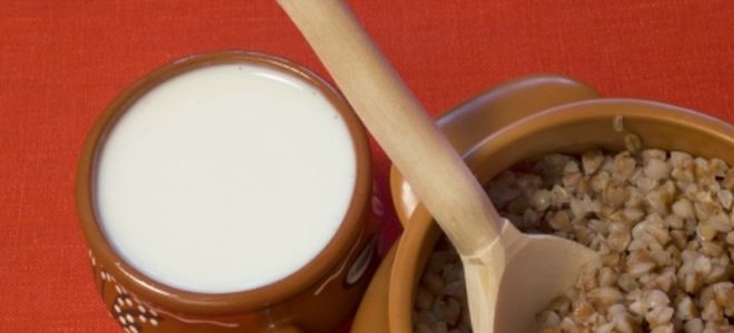 Why buckwheat with kefir is useful