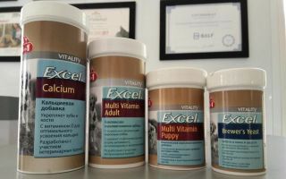 Vitamin Excel untuk anjing: untuk anak anjing, anjing dewasa dan tua