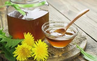 Dandelion honey: benefits and recipe for home cooking