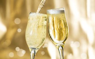 Champagne: is it harmful to the body, contraindications