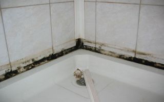 How to remove mold in the bathroom