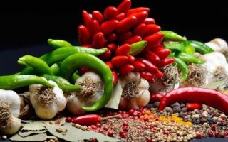 Spicy food: benefits and harms