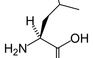 Leucine: what foods contain, table