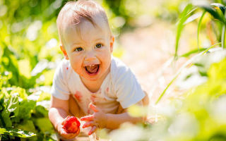 How to wash berries: how to remove stains from colored and light clothing