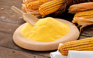 Why is corn flour useful for the body