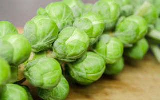 Brussels sprouts: useful properties and contraindications