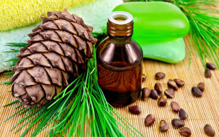 Tincture on pine nuts: useful and medicinal properties, contraindications