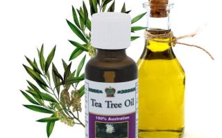 The benefits and uses of tea tree essential oil for hair