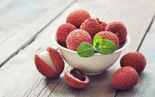 Lychee: sifat berguna dan kontraindikasi buah