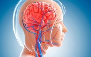 Vitamins to improve blood circulation in the brain