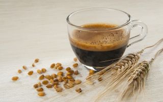 Barley coffee: benefits and harms