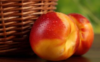 Posible ba ang nectarine para sa pagpapasuso: bagong panganak, 1, 2 buwan