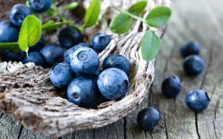 Health benefits and harms of blueberries