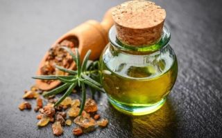 Myrrh: properties and uses of essential oil, resin, tincture