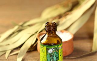 Properties and uses of eucalyptus essential oil