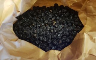 Mga amur velvet berry: kapaki-pakinabang na mga katangian at contraindications