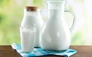 Milk: useful properties and contraindications