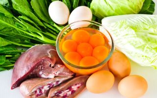 Choline in food: table of contents