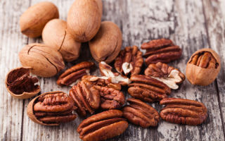 Pecan: sifat bermanfaat, kontraindikasi, kandungan kalori dan ulasan