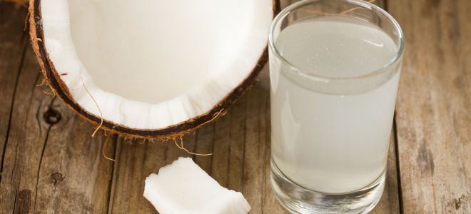 Coconut water (juice): mga kapaki-pakinabang na katangian at resipe