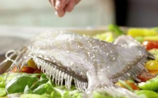 Dori fish benefits