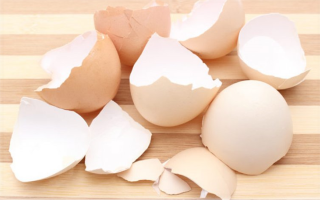 Why eggshells are useful, how to cook and use them, reviews