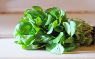 Why watercress is useful