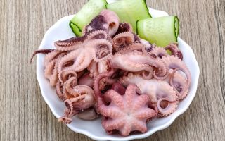 Octopus: calorie content per 100 grams, chemical composition, contraindications