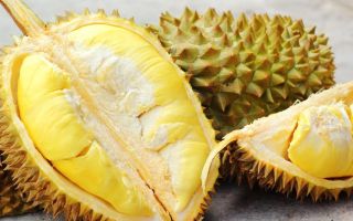 Durian: proprietăți utile și contraindicații