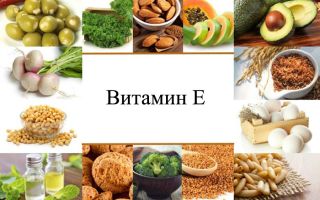 Vitamin E: what is it good for, what foods contain, how to take