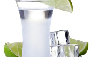 Tequila: proprietăți utile pentru corpul uman, este dăunătoare