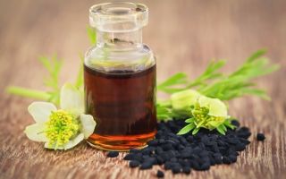 Black cumin oil: useful properties and contraindications, application