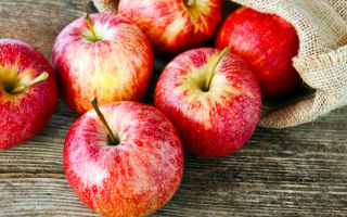 Why apples are useful for the body, medicinal properties and contraindications