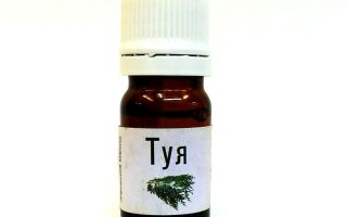 Thuja oil: instructions for use for adenoids for children, reviews