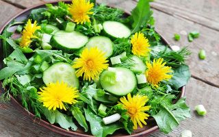 Dandelion salad: benefits, how to cook