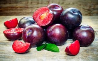 Why is plum useful for the body