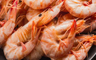 What are the benefits of shrimp for the human body