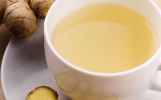 Ginger tea: benefits and harms, how to prepare