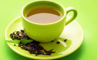 Green and black tea with sausep: useful properties and photos