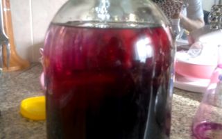 Mapanganib ba at kung paano linisin ang moonshine na may potassium permanganate